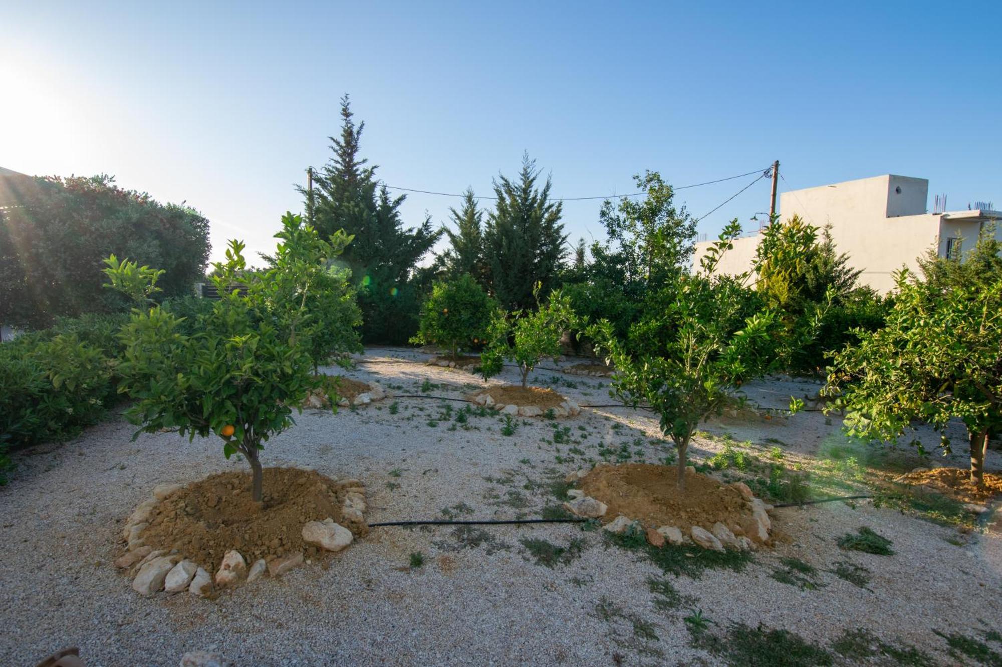 Κatakis Villas Agios Onoufrios Exterior foto