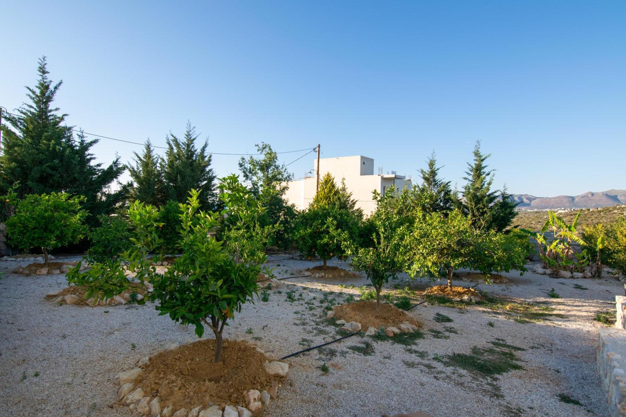 Κatakis Villas Agios Onoufrios Exterior foto